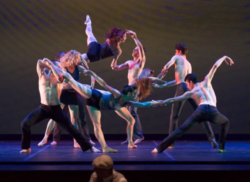 Echo Boom – Photo by Tony Spielberg